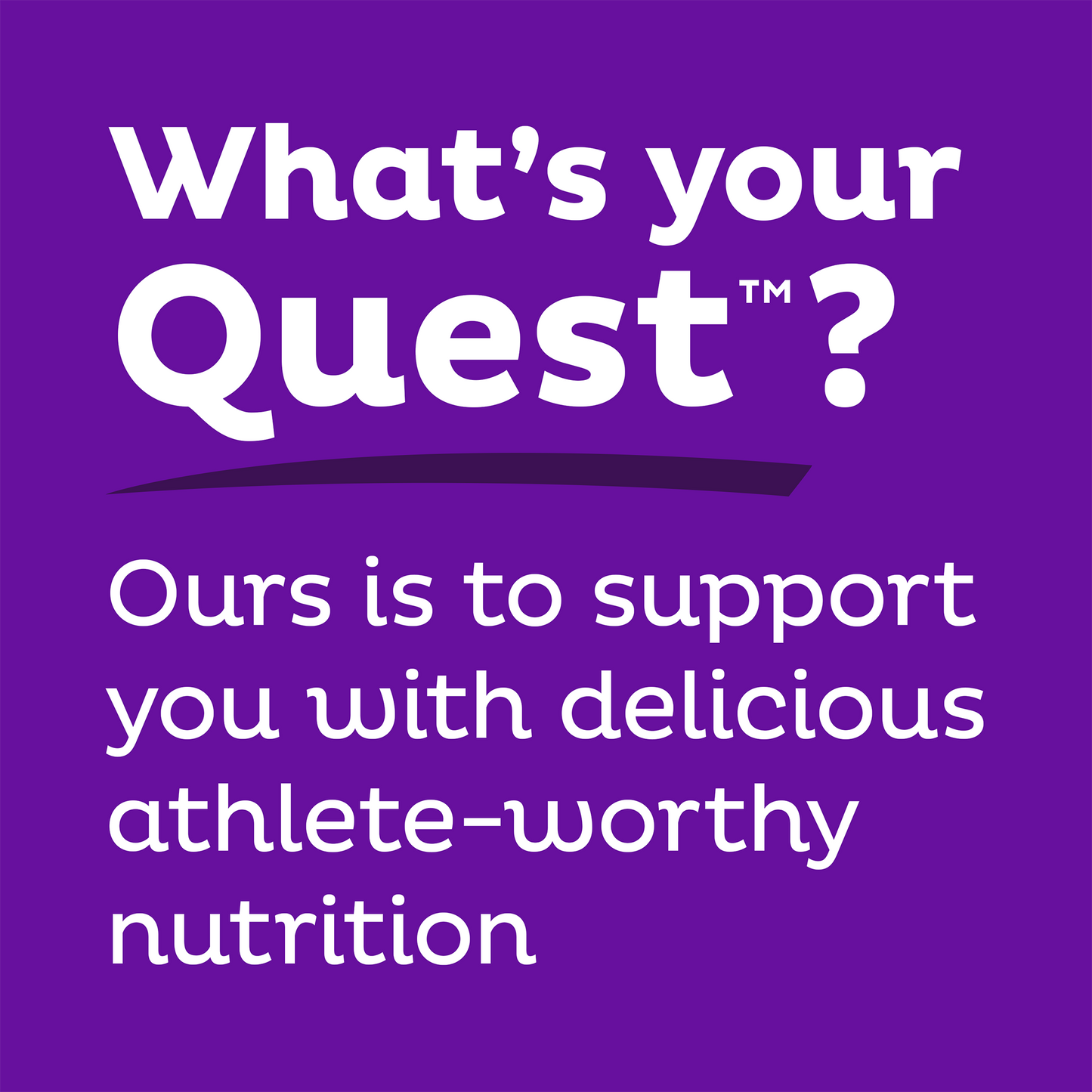 double-chocolate-chunk-protein-bars-q8 qst-000241_double-chocolate-chunk-protein-bars_9.png